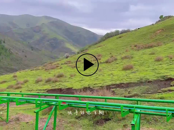 軌道爬山車 軌道爬山車